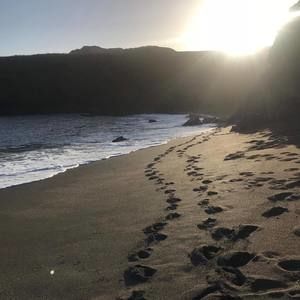 Meet your Posher, Clara